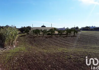 Terreno in Martina Franca