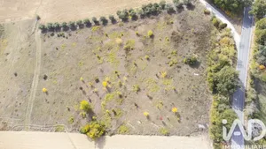 Terreno agricolo in Filottrano