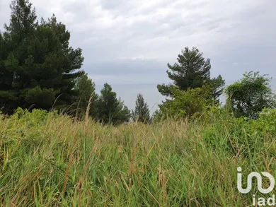 Land in Sirolo