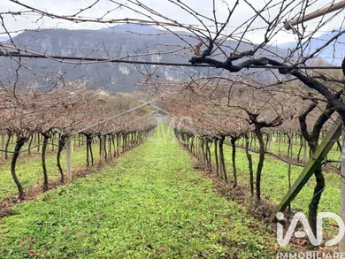 Terreno agricolo in Ala