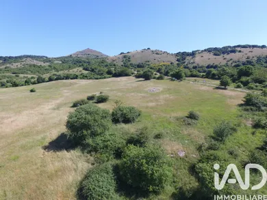 Terreno agricolo in Roccalbegna
