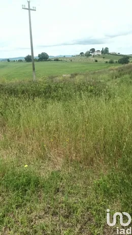 Terreno in Scansano
