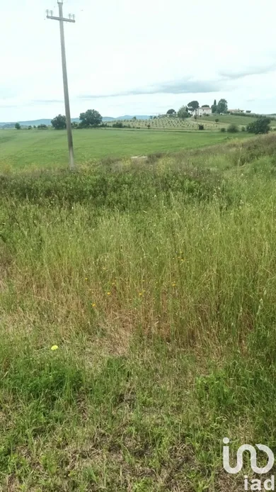Terreno in Scansano