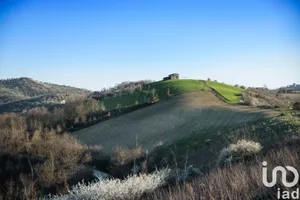 Farm land in Picciano