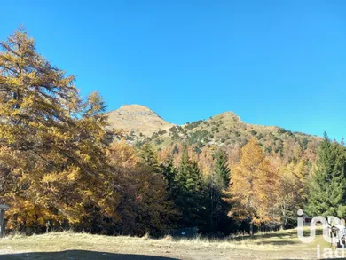 House in Pigna