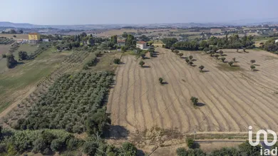 Land in Osimo