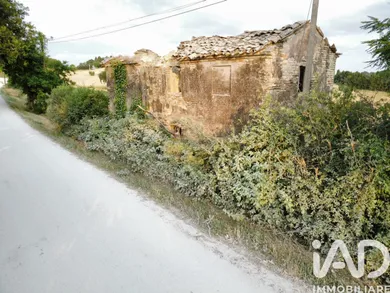Rustico in Filottrano