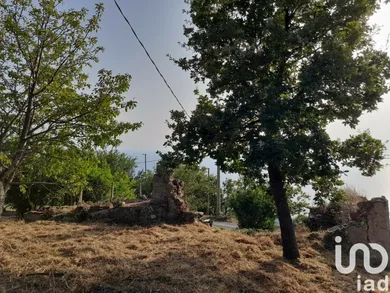 Terreno agricolo in Longobardi
