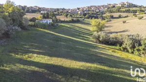 Terreno agricolo in Filottrano