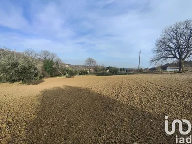 Terreno agricolo in Montefiore dell'Aso