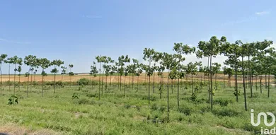 Terreno in Manfredonia