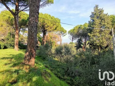 Park home in Pesaro