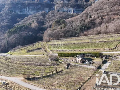 Terreno agricolo in Villa Lagarina