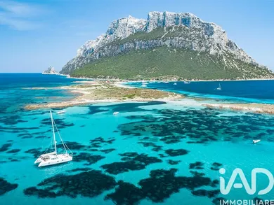 House in Loiri Porto San Paolo