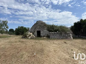 Tenuta equestre in Cisternino