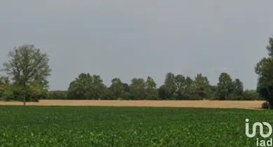 Terreno in Grisignano di Zocco