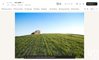 Farm land in Picciano
