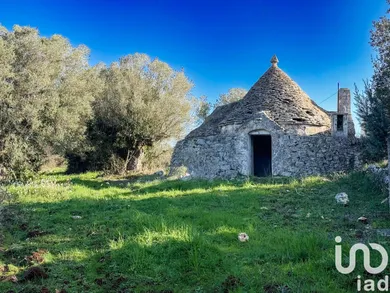 Horses property in Martina Franca