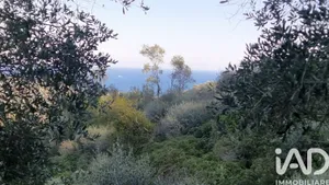 Land in Cipressa