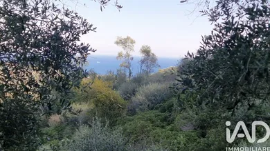 Terreno in Cipressa