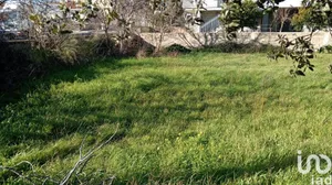 Terreno in Telti