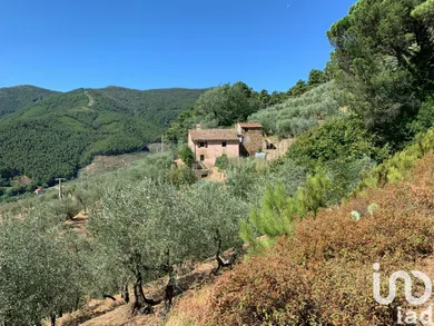 House in Buti