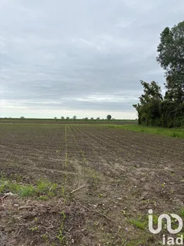 Terreno in Sant'Urbano