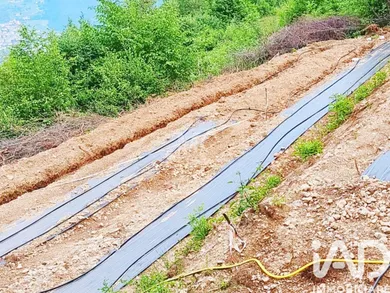 Terreno agricolo in Isera