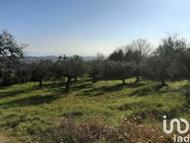 Terreno in Tortoreto