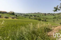 Terreno in Filottrano
