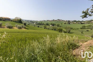 Terreno in Filottrano