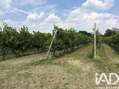 Terreno agricolo in Valeggio sul Mincio