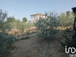 Farm land in Monte Porzio