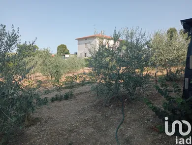 Terreno agricolo in Monte Porzio