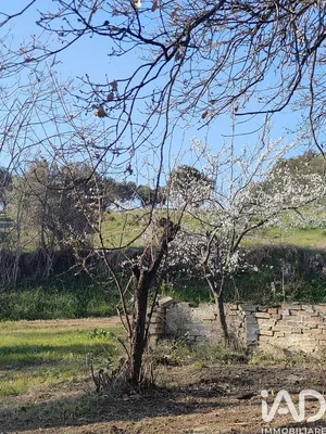 Terreno in Colonnella