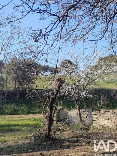Terreno in Colonnella