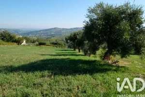 Terreno agricolo in Cupramontana