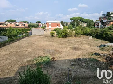Land in Anzio
