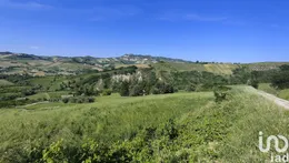 Rustico in Offida