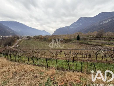 Terreno agricolo in Ala