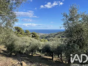 Land in Cipressa