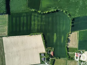 Terreno in Grisignano di Zocco