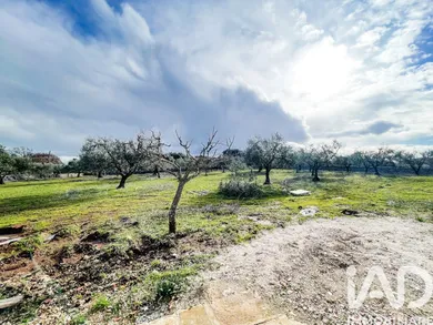Rustico in Martina Franca