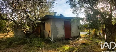 Terreno in Falerna