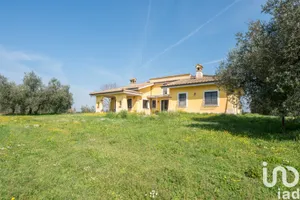 Cascina / Fattoria in Montelibretti