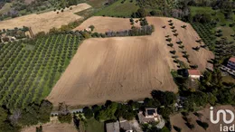 Land in Montecosaro