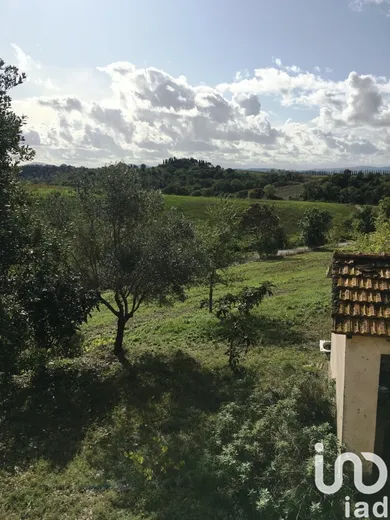 Terreno in Scansano