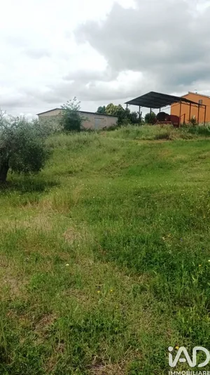 Terreno in Scansano