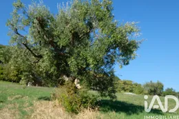 Terreno agricolo in Cupramontana