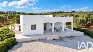 House in Carovigno